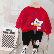 Kids Red and Black Teddy Sweatshirt and Pant