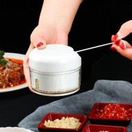 Mini Food Chopper