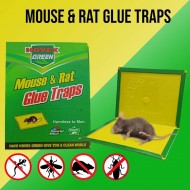 Mouse And Rat Glue Trap Board