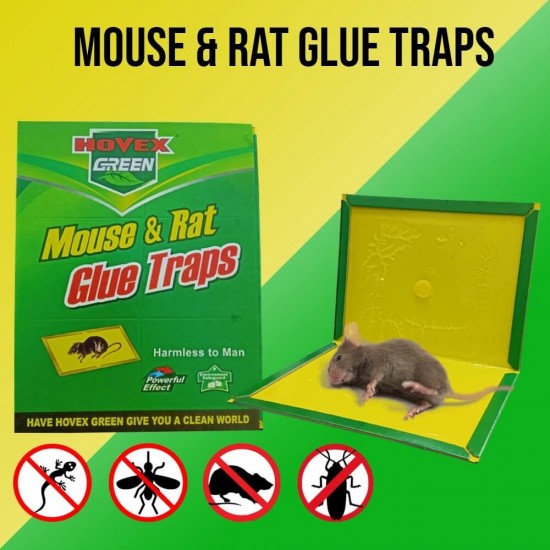 Mouse And Rat Glue Trap Board
